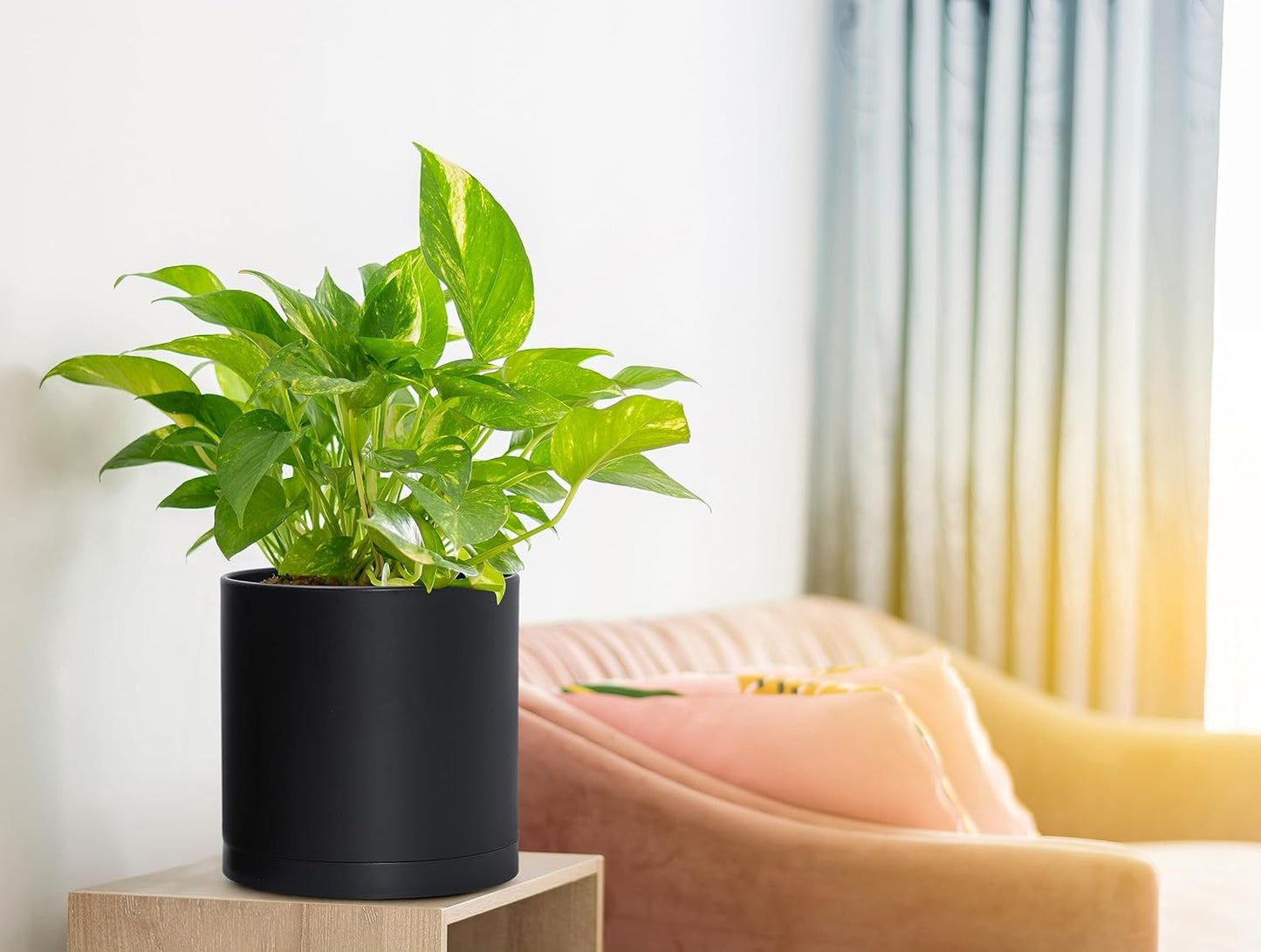 D'vine Dev 2 Pack 6.5 Inch Modern Plastic Plant Pots, Small Garden Planters for Plant with Drainage Holes and Saucers, Black Color, 74-Y-L-1