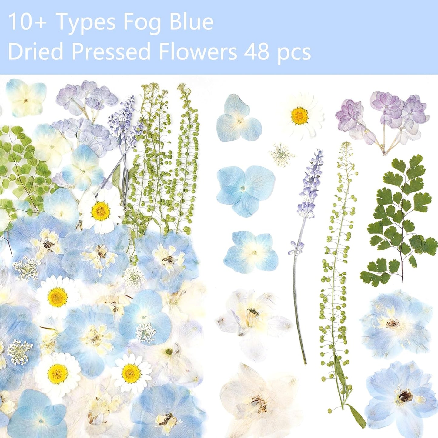 Real Dried Pressed Flowers Leaf Plant Herbarium for Crafts Resin Jewelry Making, Floral Cake Decorations-Fog Blue