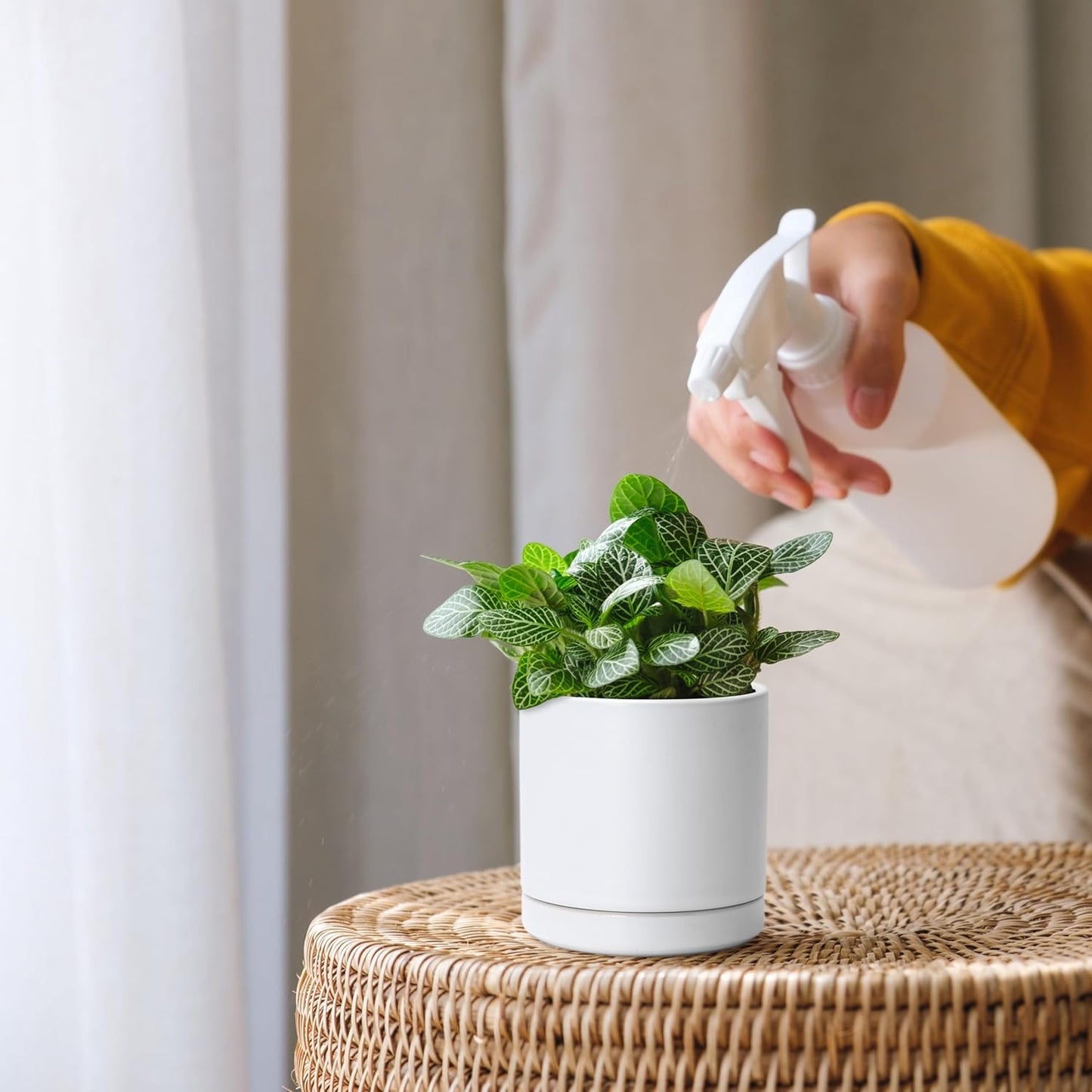 D'vine Dev Set of 4 Small Ceramic Plant Pots, 3.5 Inch Succulent Planter Pot for Plants with Drainage Hole and Saucer, White, 94-X-A-1