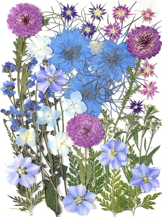 8 Types 46pcs Real Dried Pressed Flowers Leaf Plant Herbarium for DIY Resin Jewelry Making Floral Decors (Blue)