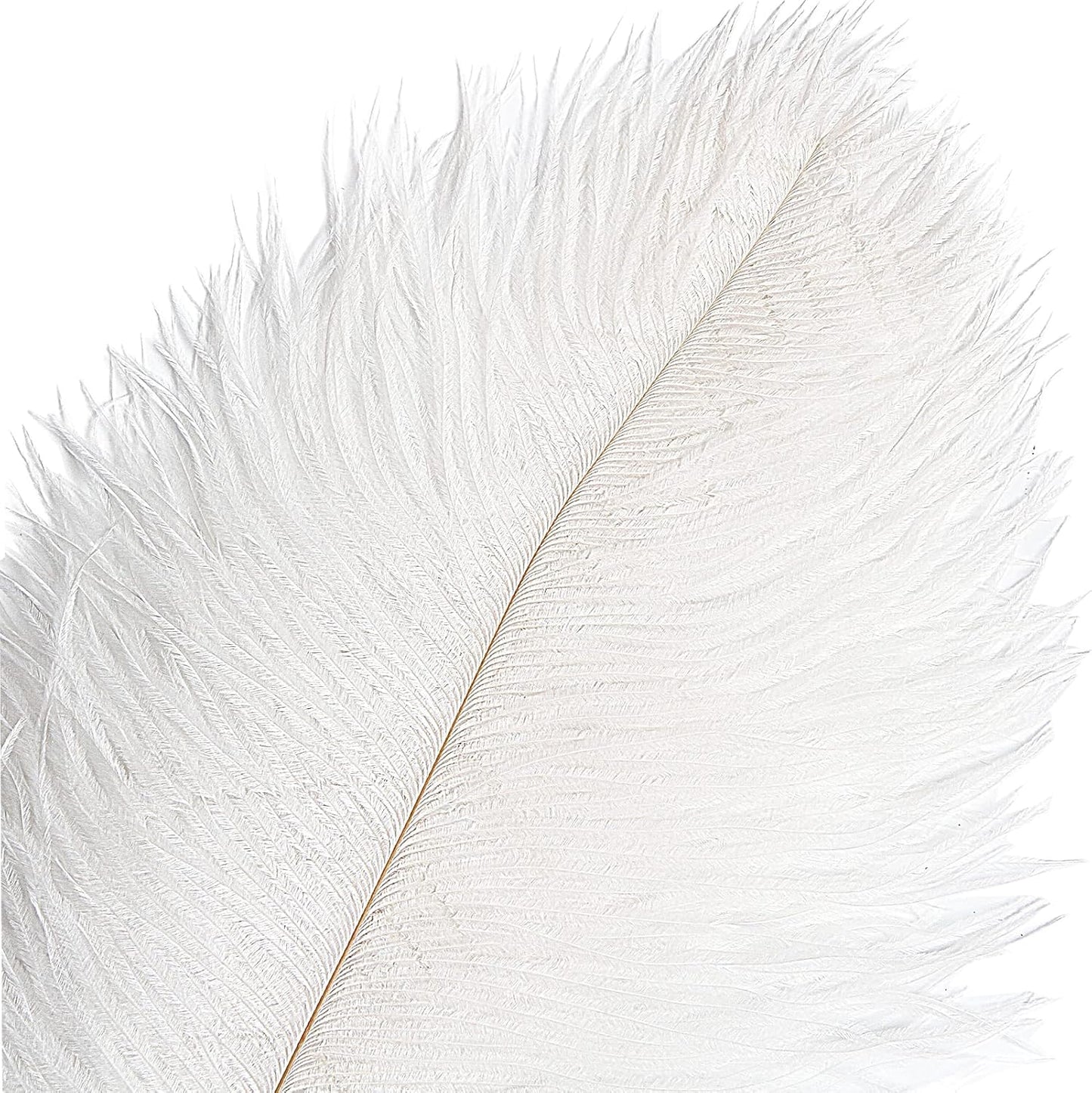 THARAHT 12pcs White Ostrich Feathers Natural Bulk 14-16Inch 35cm-40cm for Wedding Party Centerpieces Easter Gatsby and Home Decorate Ostrich Feathers