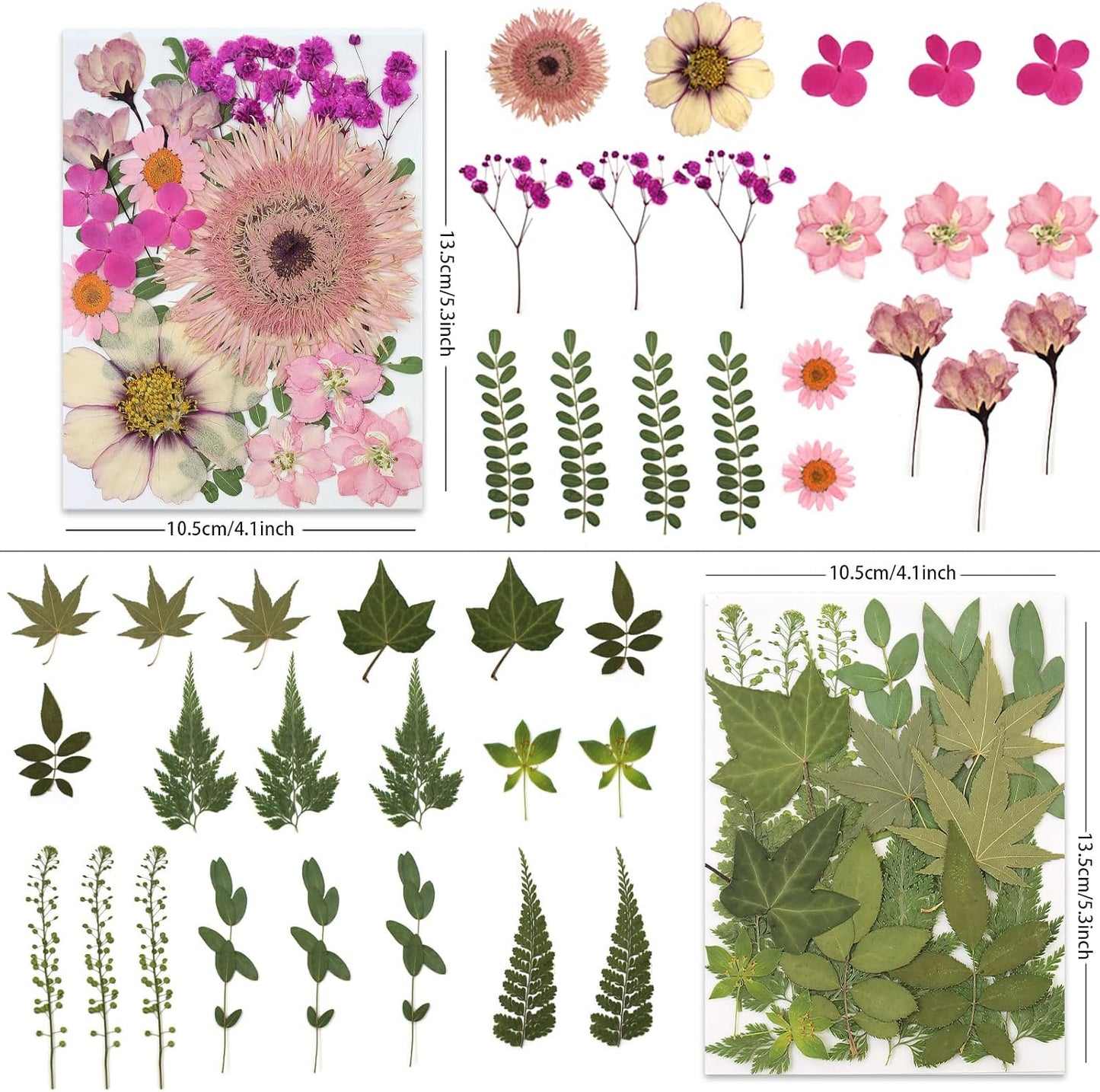 80 Pcs Dried Pressed Flowers for Crafts, Natural with Vibrant Colors & Various Shapes, Exquisite Arrangement for Resin, DIY, Jewelry, Candle & Soap Making – Tweezers Included