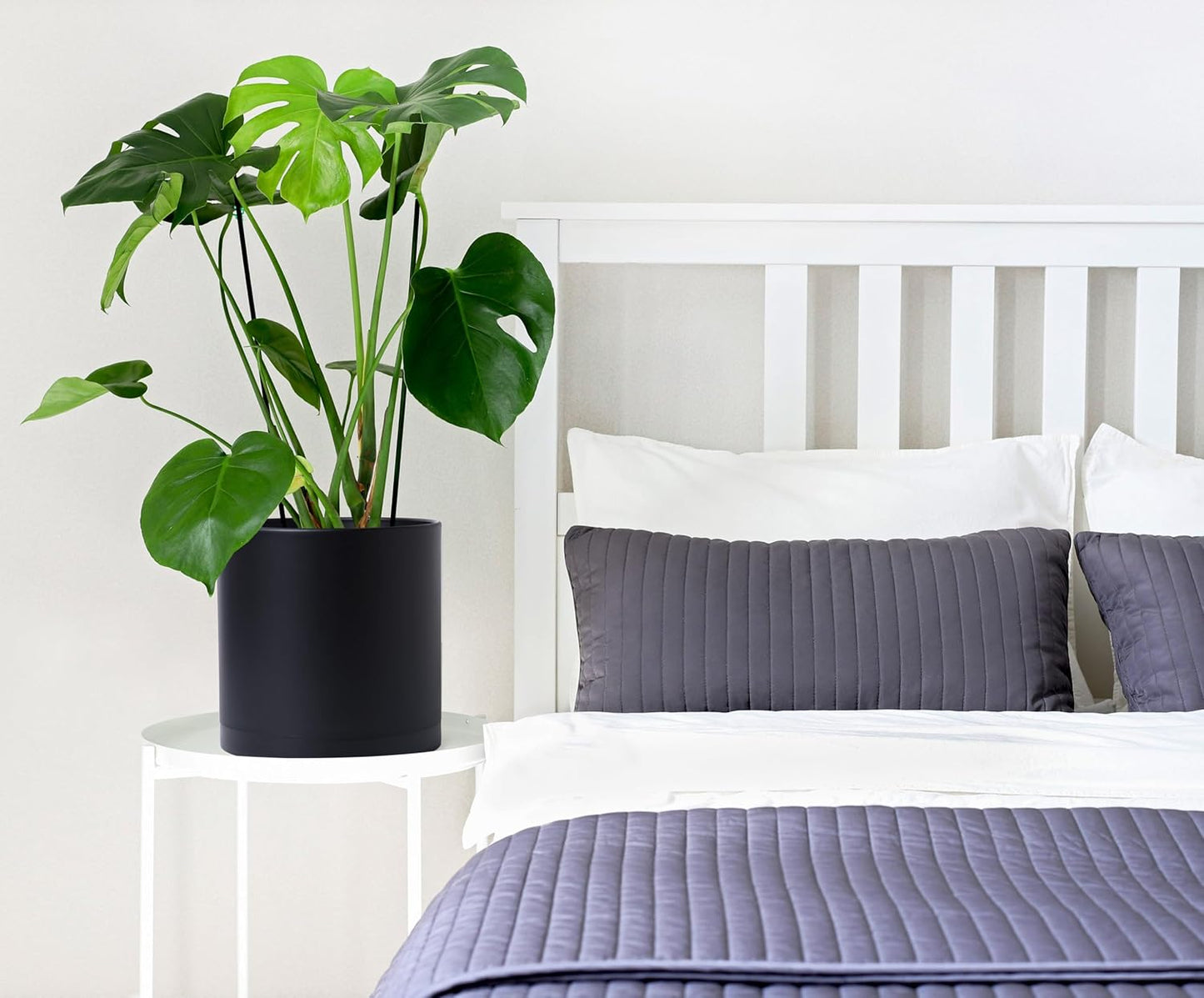 D'vine Dev 2 Pack 10 Inch Modern Plastic Plant Pots, Cylindrical Garden Planters for Plants with Drainage Holes and Saucers, Black, 74-Y-N-1