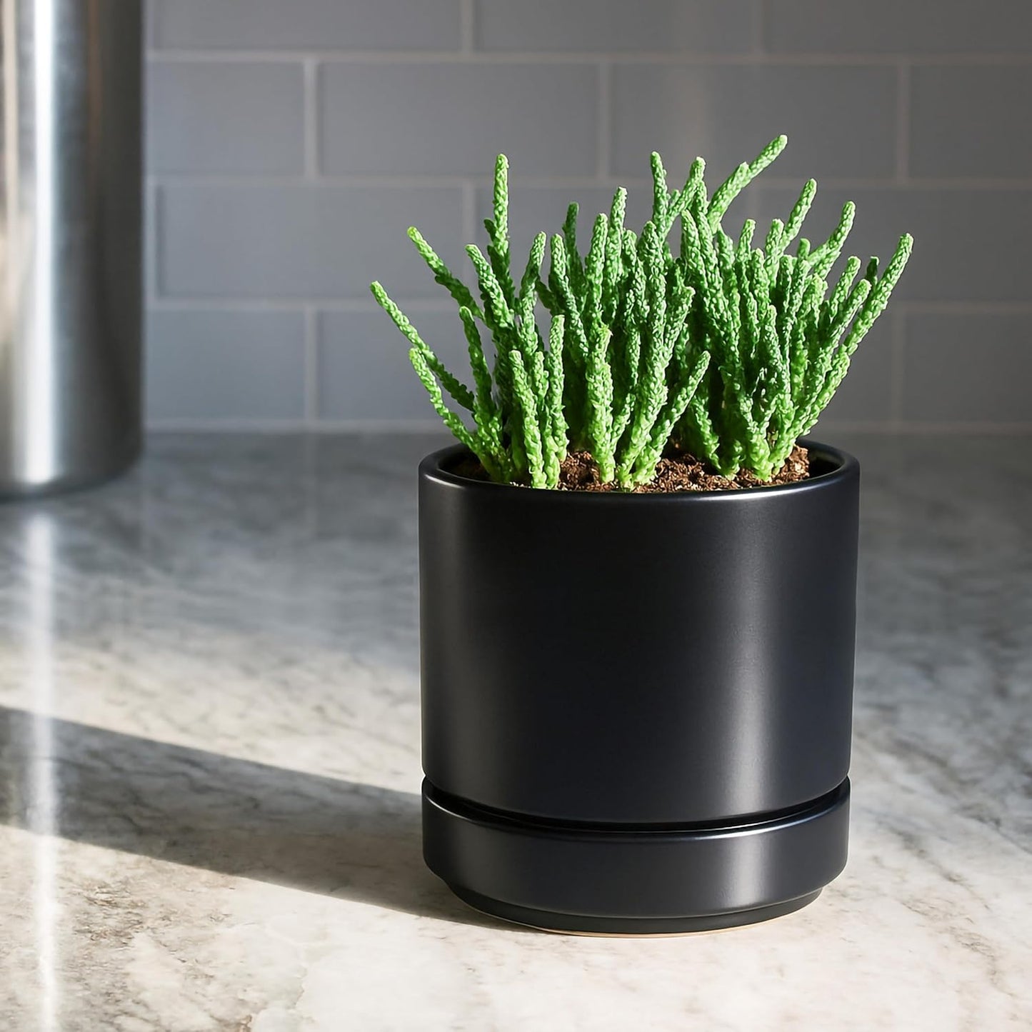 D'vine Dev Set of 4 Small Ceramic Plant Pots, 4.7 Inch Succulent Planter Pot for Plants with Drainage Hole and Saucer, Black, 94-X-B-2