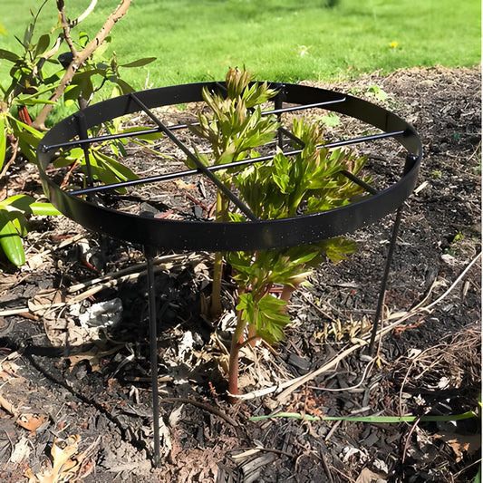 Large Peony Cages and Supports 18.9"x23.6" - Durable Round Garden Flower Rings | Tall Plant Support Stakes for Outdoor Peonies | Enhances Peony Planting Success with Secure Grounding