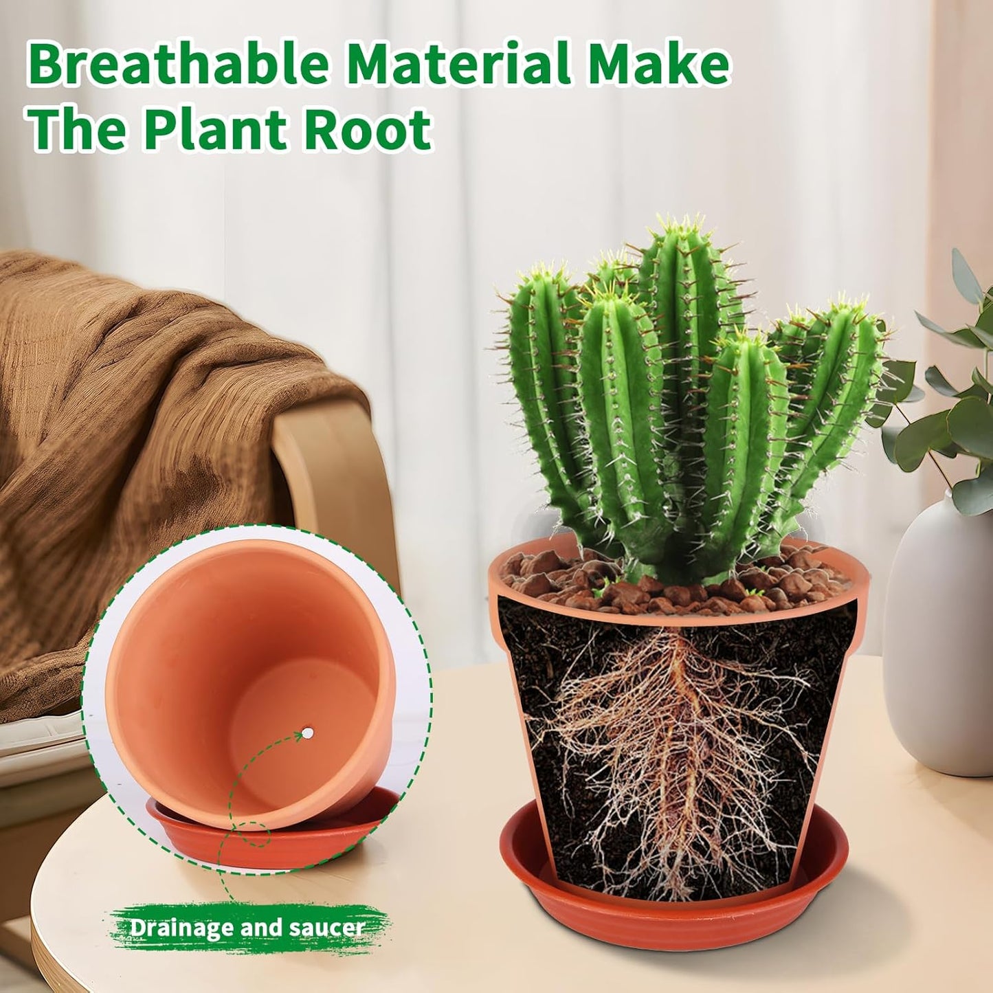 6 Pack 6 Inch Terracotta & Clay Pots with Saucer for Plants, Large Terra Cotta Plant Pot with Drainage Hole, Flowerpot for Indoor Outdoor Plants, Crafts, Wedding Favor