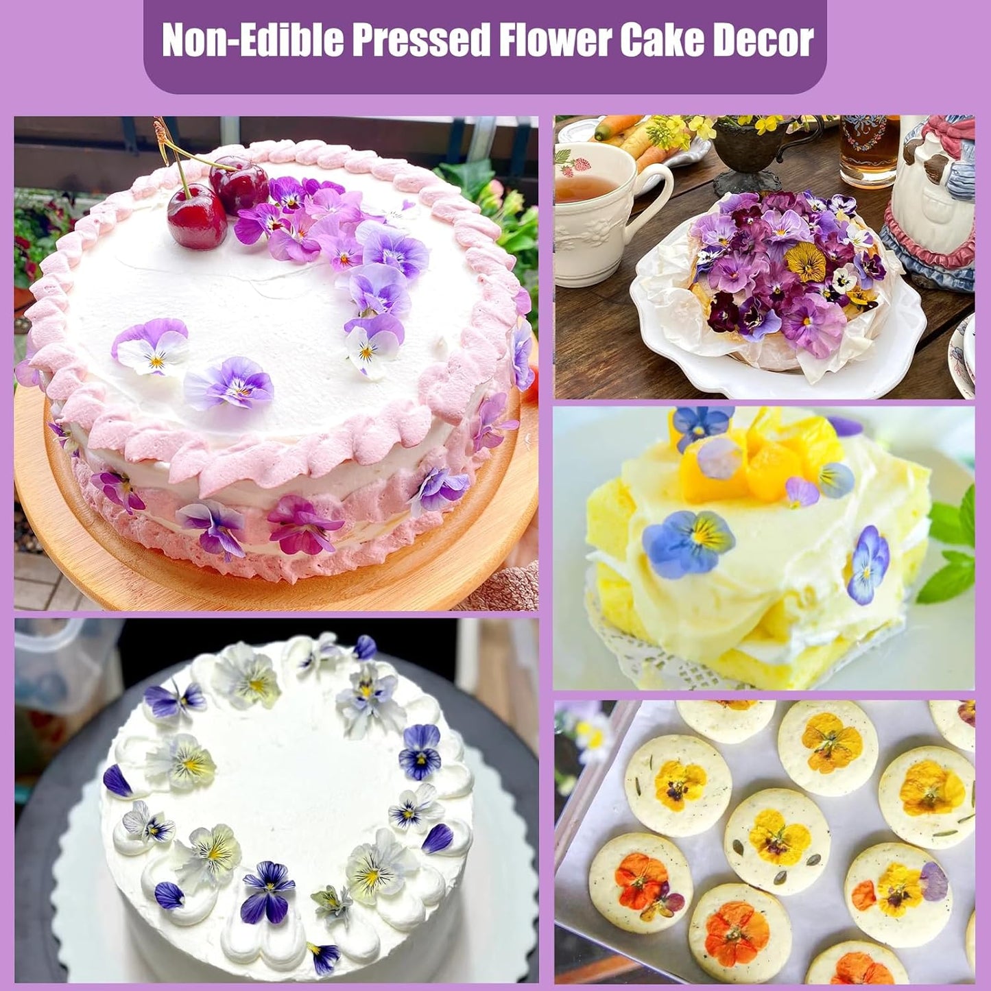 64 Pcs Dried Pressed Viola Flowers, 8 Color Gradient Purple Blue Yellow White, for Resin DIY Art Jewelry Candle & Soap Making with Tweezers Included