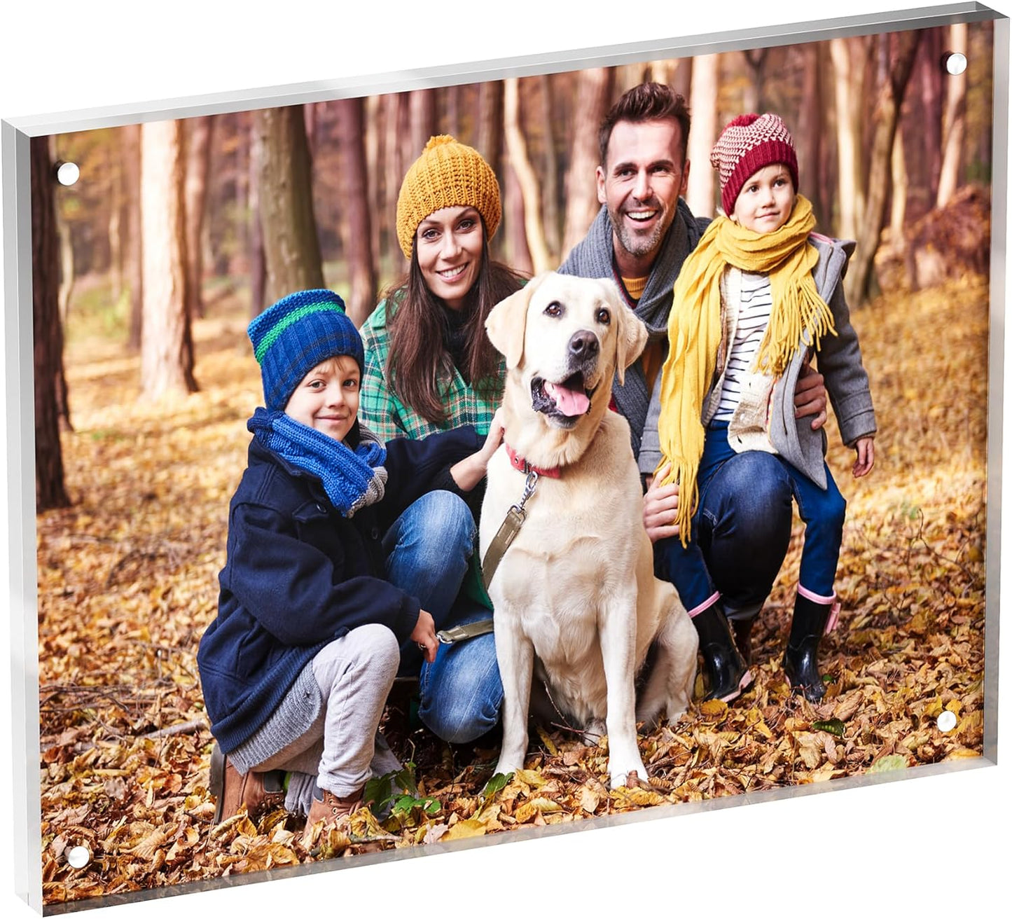 6x8 Acrylic Picture Frame 1 Pack, Clear Freestanding Double Sided Frameless Magnetic Photo Frames, Desktop Display Decor Gift