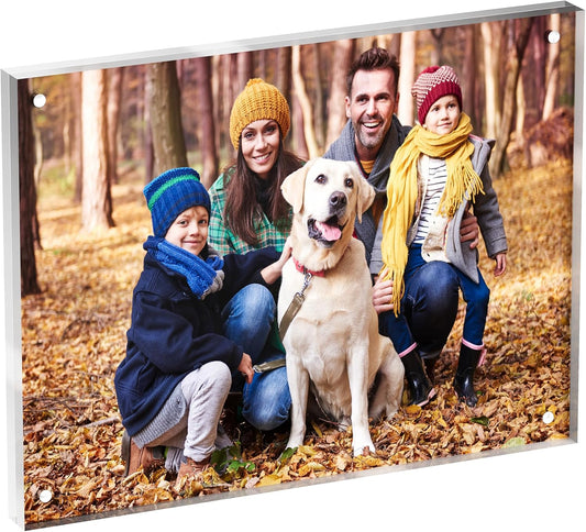 6x8 Acrylic Picture Frame 1 Pack, Clear Freestanding Double Sided Frameless Magnetic Photo Frames, Desktop Display Decor Gift