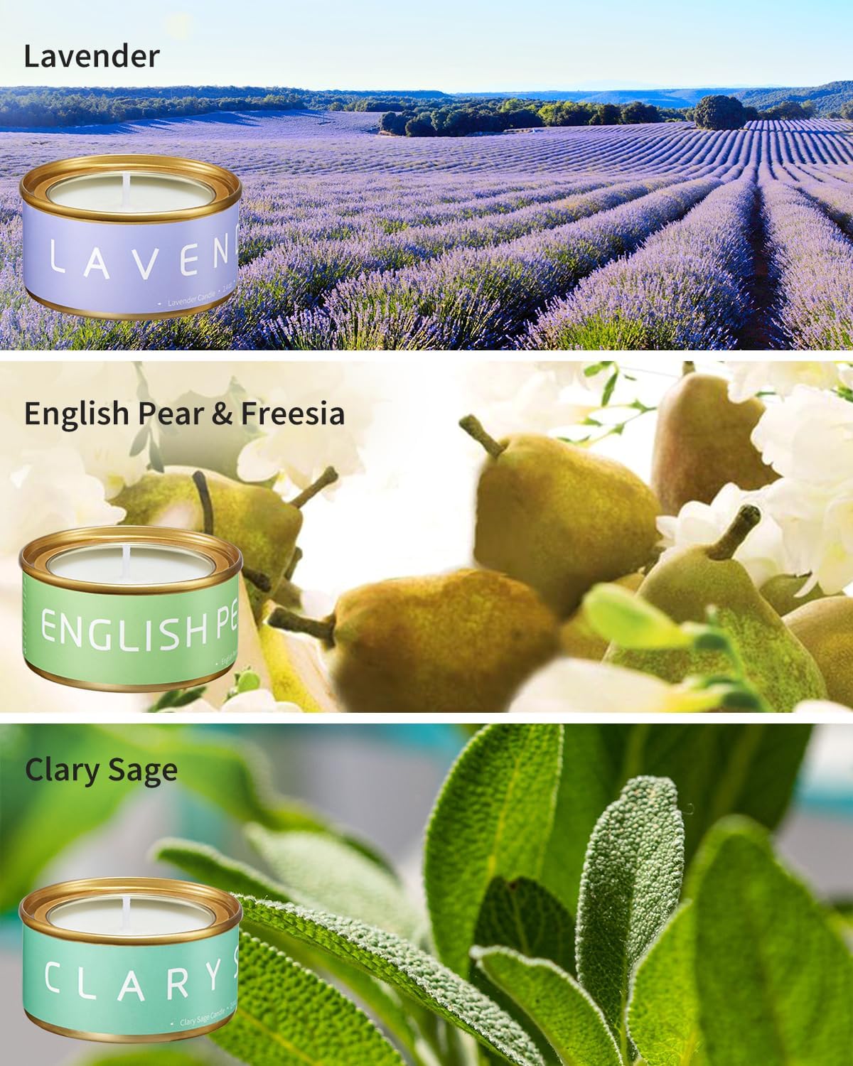 VTS Candles for Home Scented, 6 Pack Aromatherapy Candles (Lavender, Vanilla, English Pear & Freesia, Neroil, Clary Sage, Jasmine Sambac), Candles Gift Set for Stocking Stuffers, Christmas, Birthday