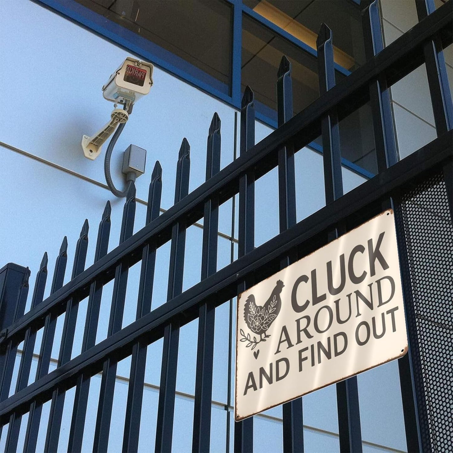 Funny Chicken Tin Sign - "Cluck Around and Find Out" Farmhouse Wall Decor for Kitchen, Coop, Garden - 8x12 inch Rustic Metal Gift