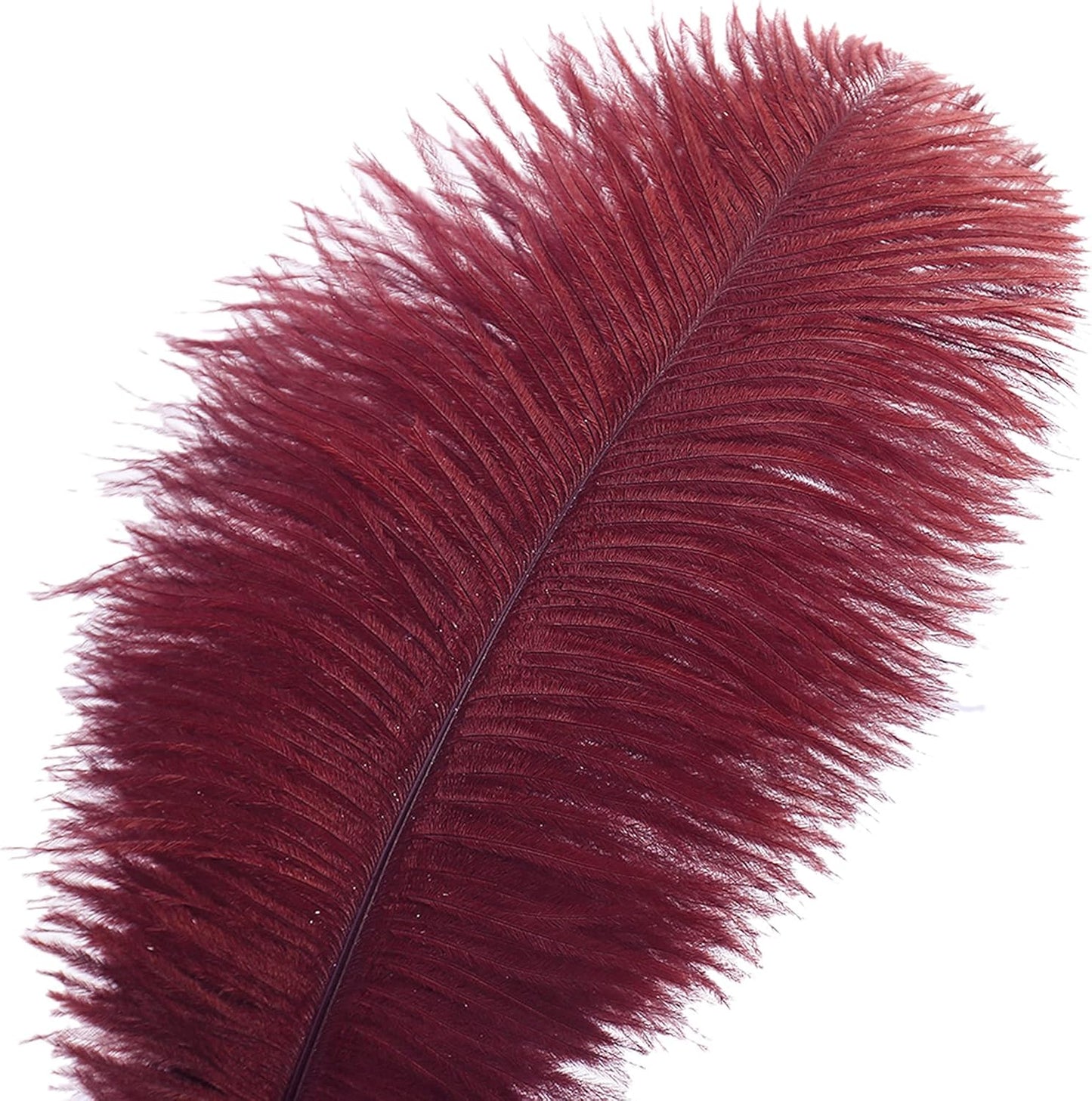 Ballinger Big Burgundy Ostrich Feathers - 24Pcs 12-14inch Wine Red Feathers for Party Centerpieces, Flower Arrangement and Home Decor