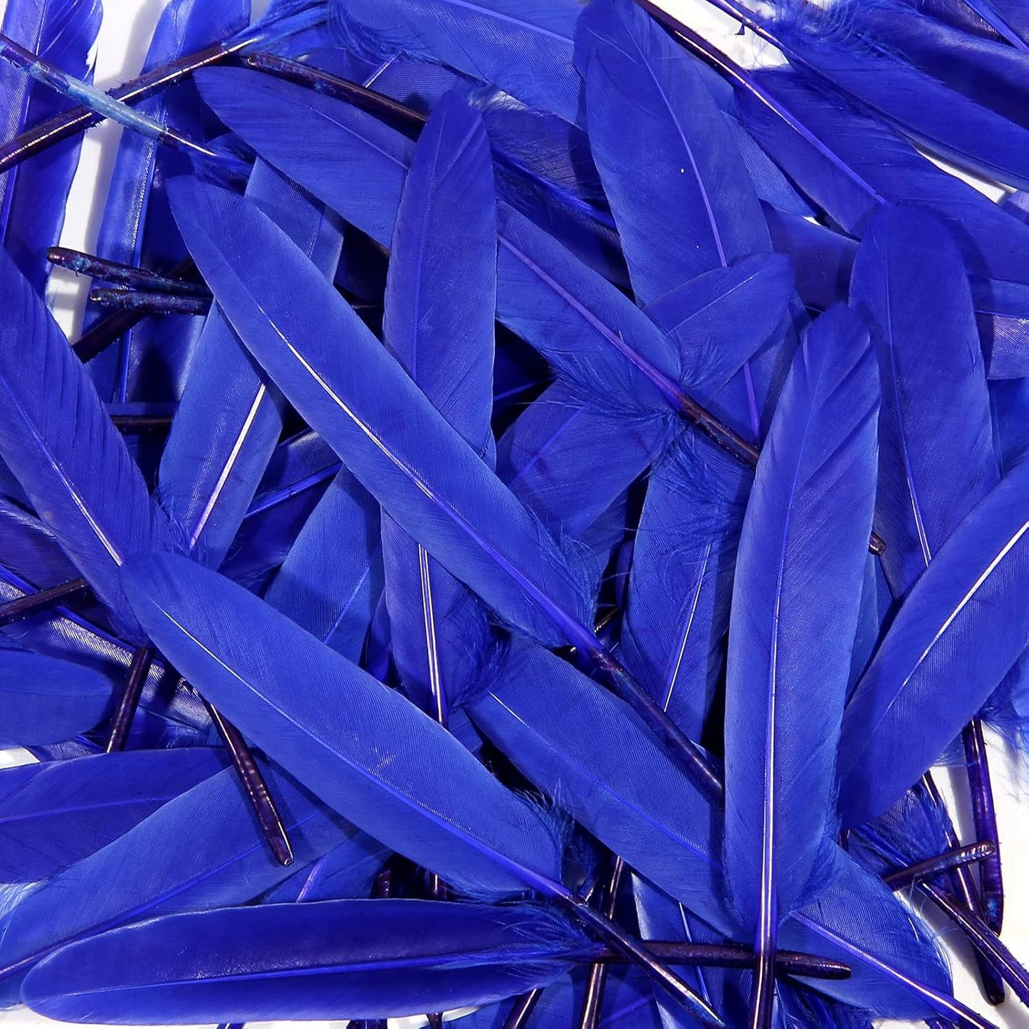 FeelfunFeather 120pcs Blue Goose Cochettes Feather Natural Bulk 4-6 inch 10-15cm for Wedding Party Christmas Decorations DIY Crafts Goose Cochettes Feather
