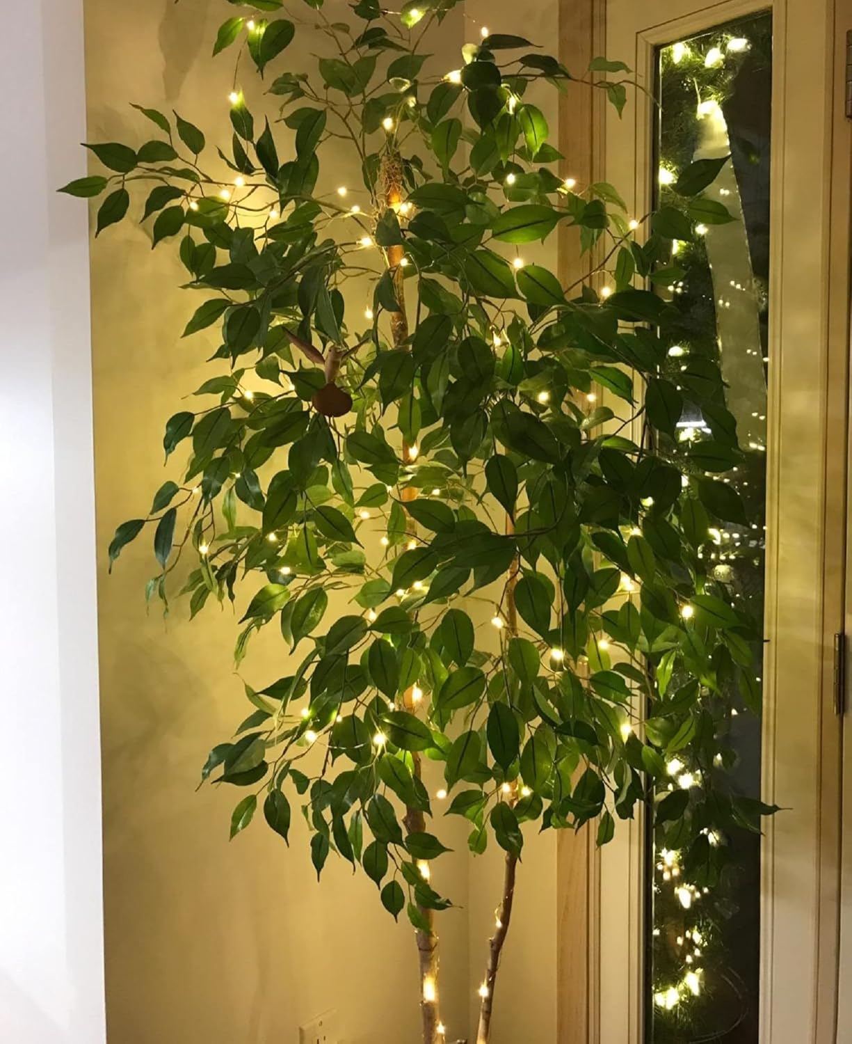 Lighting EVER Plug in Fairy Lights with Switch 66 ft 200 LED String Lights, Warm White Copper Wire Lights Waterproof Indoor Outdoor Decorative Fairy Lights for Bedroom, Patio, Garden, Balcony, Dorm