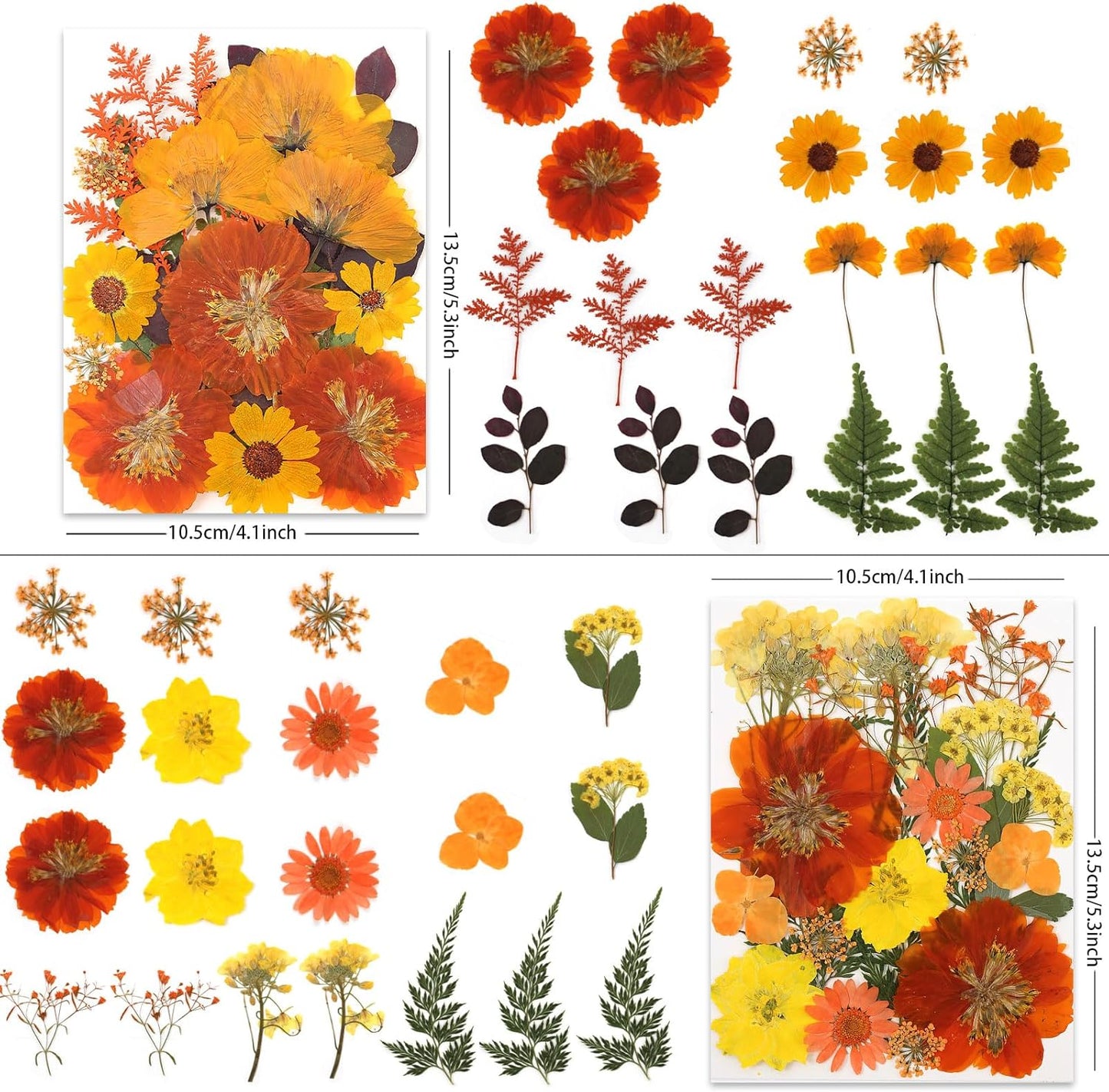 80P Autumn Tone Dried Flowers for Crafts - Real Natural Pressed Flowers in Warm Fall Hues for Resin, DIY Art, Jewelry, Thanksgiving Decor & Pumpkin Decoration – Tweezers Included