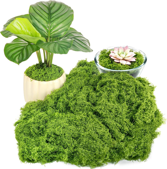 Draupnir Fake Green Moss for Plants Indoor, 5.3OZ Fake Moss for Crafts Preserved for DIY Decorative mossTable Centerpieces Decor Fairy Garden Floral Wedding (150g)