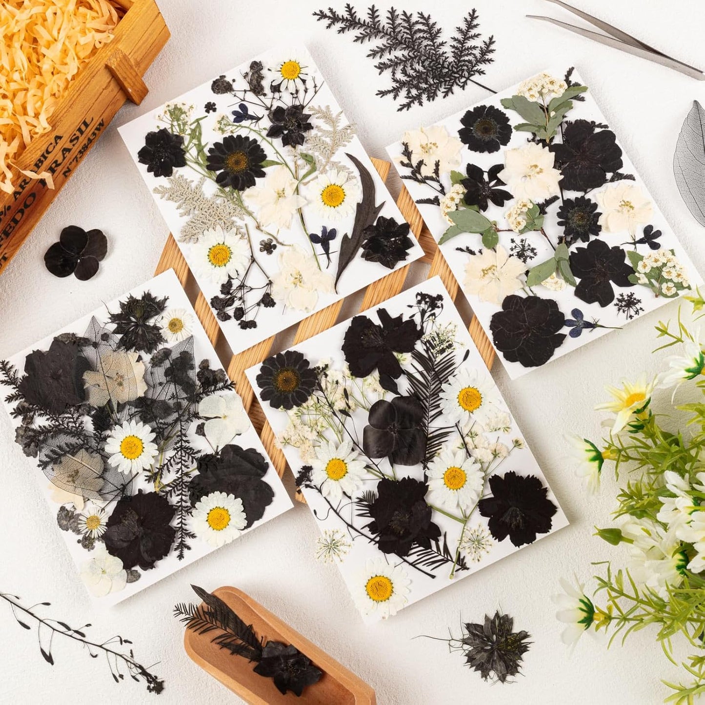 78 Pcs Black and White Dried Pressed Flowers with Tweezer, Halloween Themed Real Dried Flowers Leaves for DIY Crafts Resin Molds, Dried Flowers for Autumn Halloween Decorations