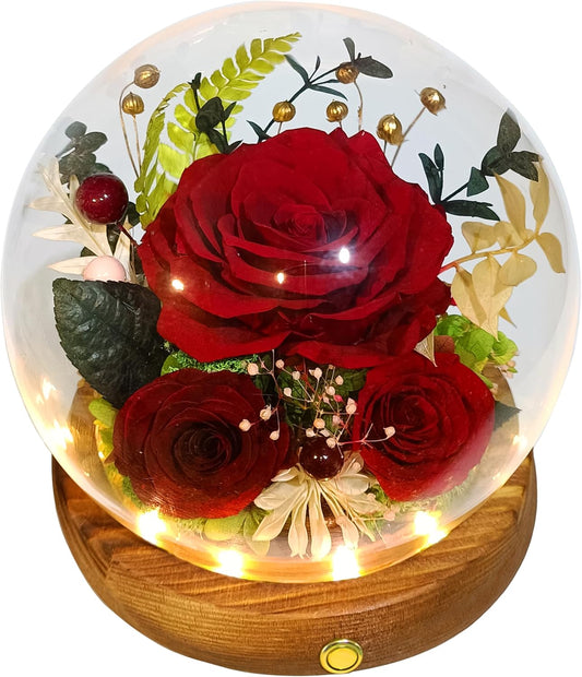 Valley of Rain & Forest Long-Lasting Real Flowers, Unique Floral Gift for You to Send Love for All Occasions, for Indoor Decoration (Dark Red Rose Arrangement)