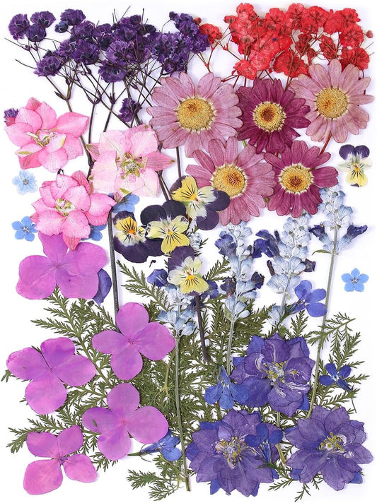 11 Types 46pcs Real Dried Pressed Flowers Leaf Plant Herbarium for DIY Resin Jewelry Making Floral Decors (Purple)