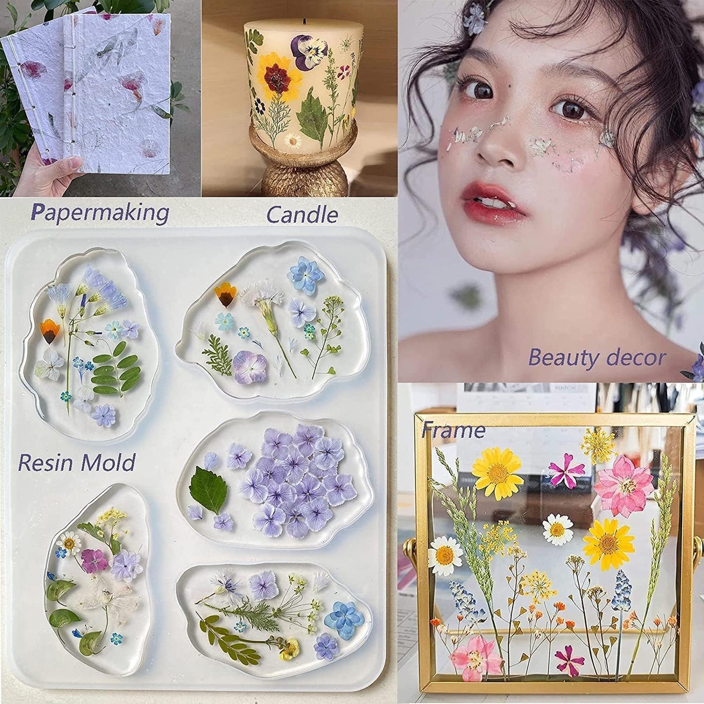 15Types 48Pcs Fall Real Dried Pressed Flowers Maple Leaf Plant Herbarium for Frame Crafts Resin Jewelry Making, Floral Cake Decorations-Fall