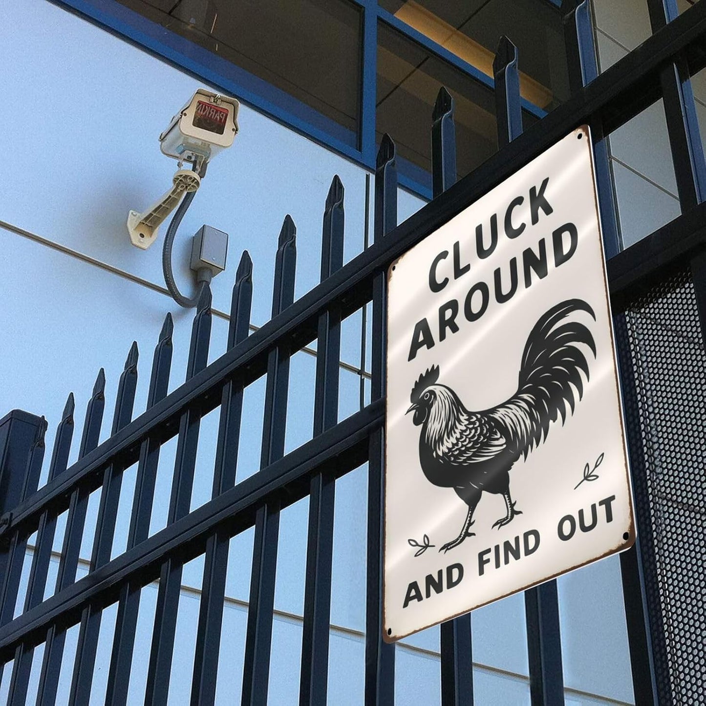 Funny Chicken Tin Sign - “Cluck Around and Find Out” Farmhouse Wall Decor for Kitchen, Coop, Garden - 8x12 inch Rustic Metal Gift