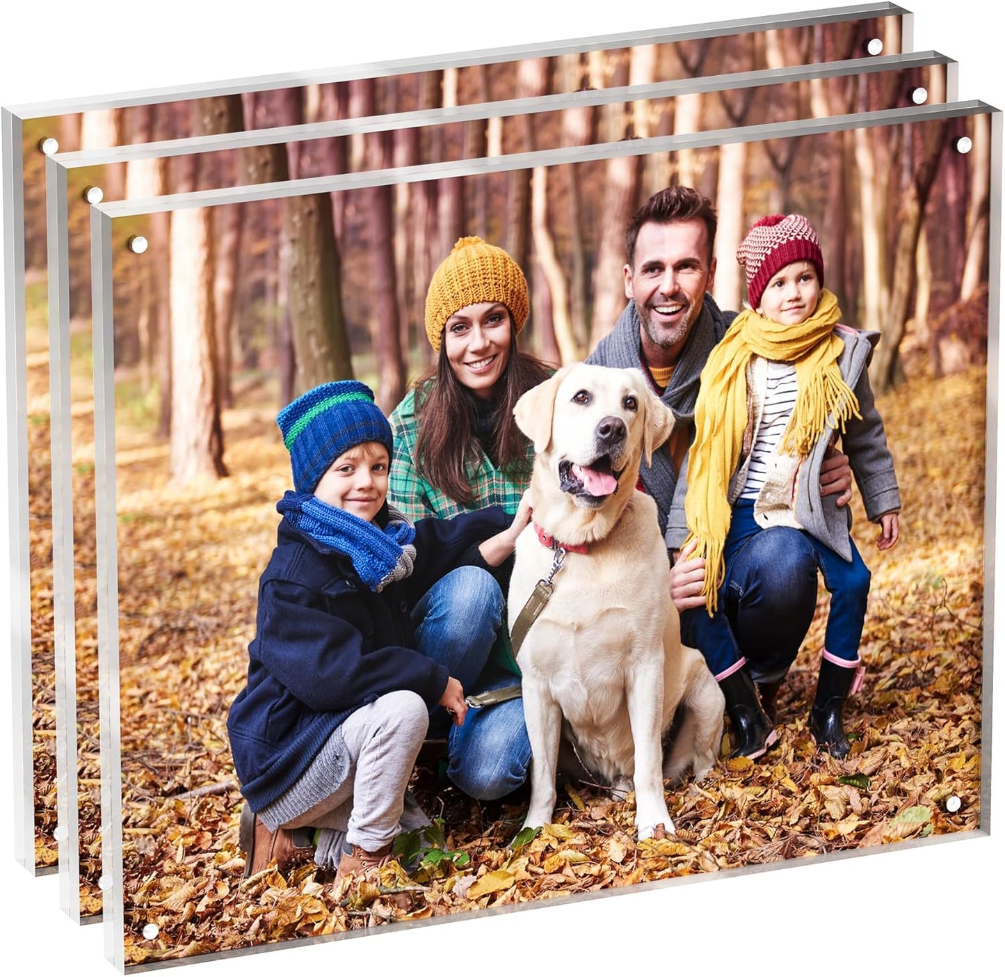 8x10 Acrylic Picture Frame 3 Pack, Clear Freestanding Double Sided Frameless Magnetic Photo Frames, Desktop Display Decor Gift