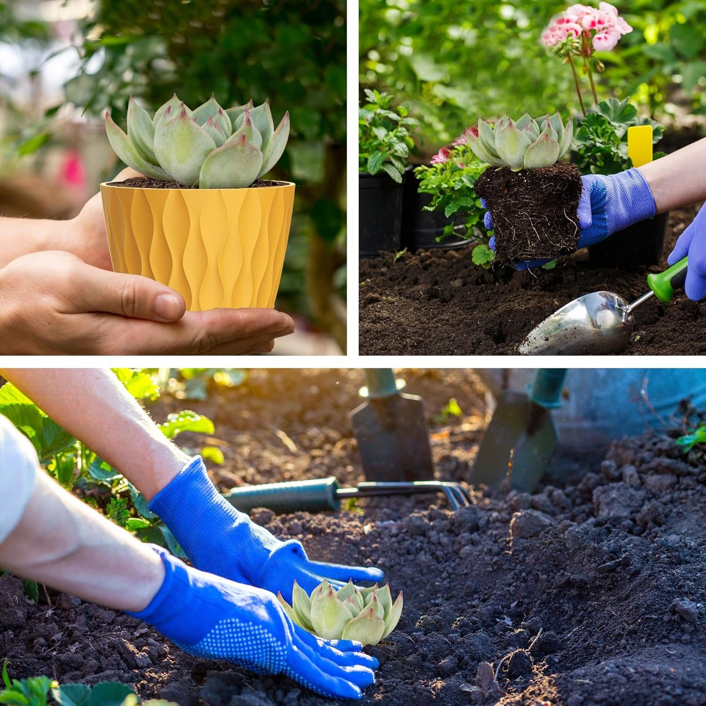 4 Inch Small Pots for Plants, 12 Pack Waffle Texture Small Plant Pots for Succulents, Plastic Planter with Drainage Holes and Saucers for Indoor Outdoor Plants, Flowers, Herbs, Seedlings, Colorful