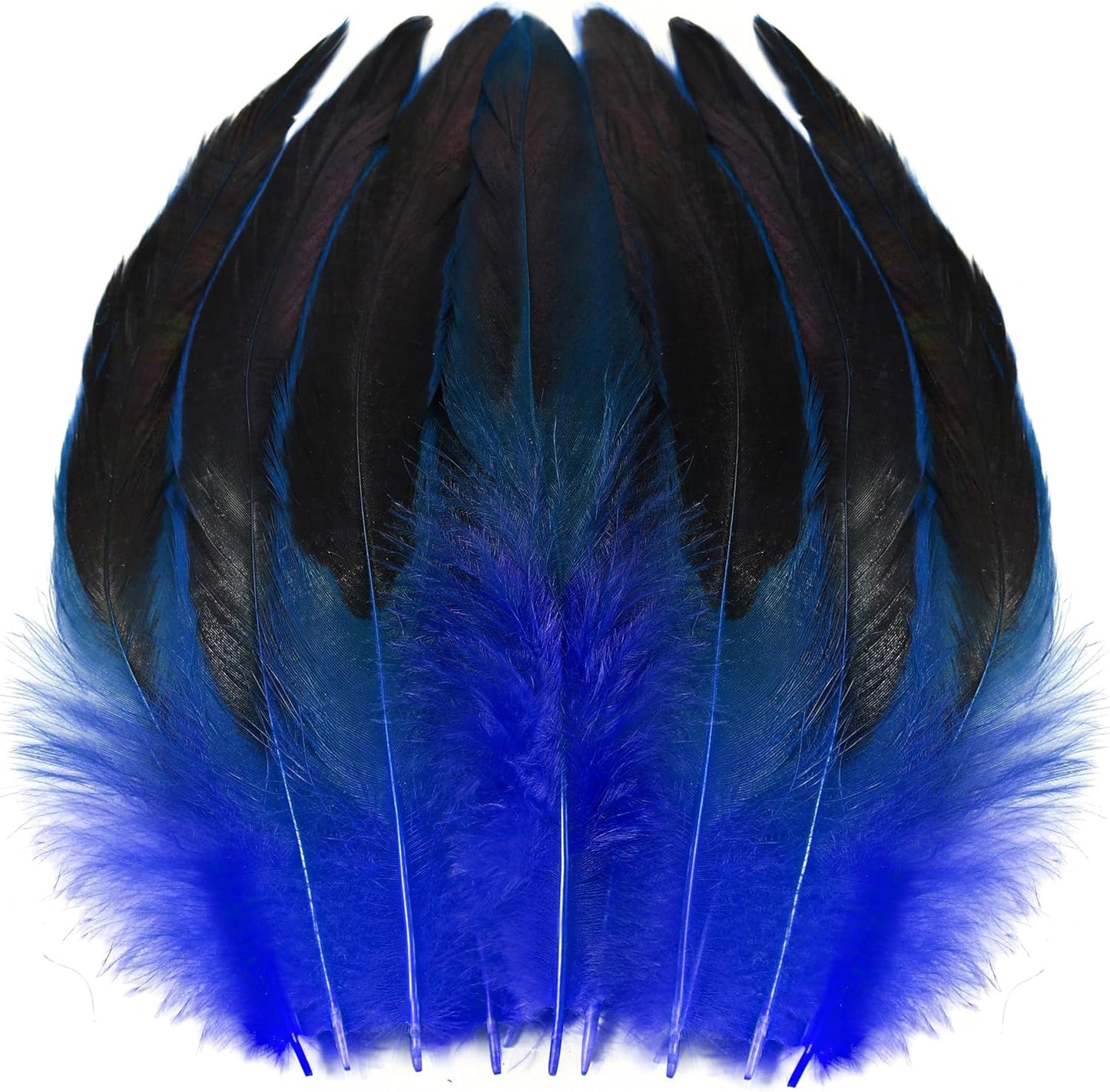 SOGUGOM Blue Rooster Tail Feathers - 200 pcs 5-7 inch Craft Bulk Feathers for Craft Projects, Hats, Costume and Party(Royal Blue)