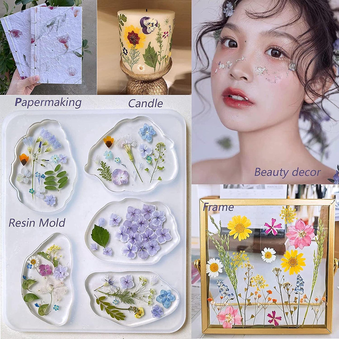 48PCS White Large Real Dried Pressed Flowers Leaves Natural Plant Herbarium for DIY Resin Mold Jewelry Making Craft (12 Styles)