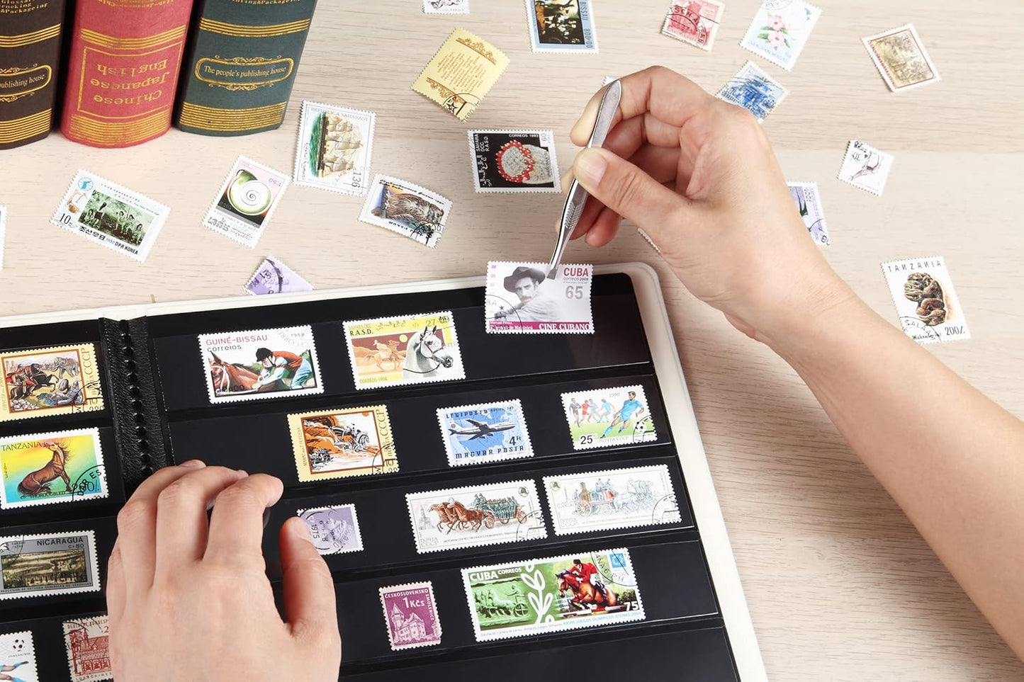 MUDOR Stamp Collecting Album, 6 Rows Pockets Stamp Book for Collectors, 10 Sheets Stamp Stockbook