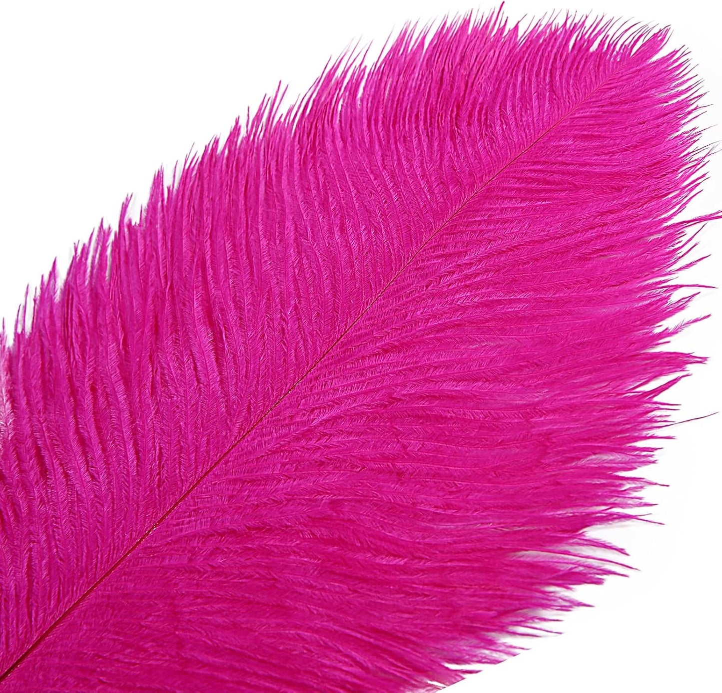 THARAHT Hot Pink Ostrich Feathers 12pcs Large Natural Bulk 12-14Inch 30cm-35cm for Wedding Party Centerpieces Easter Gatsbi and Home Decoration Feathers