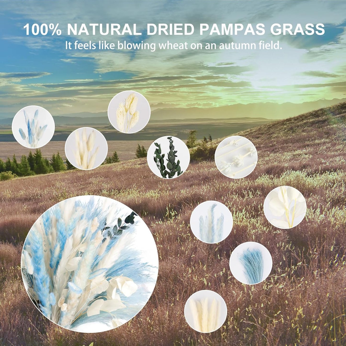 N&T NETING 101Pcs Blue Pampas Grass Decor Natural Dried Floral Pampas Grass Light Blue Boho Pampas Home Decor Fluffy Dried Pampas Flowers for Home Wedding Boho Beach Theme Table Decor