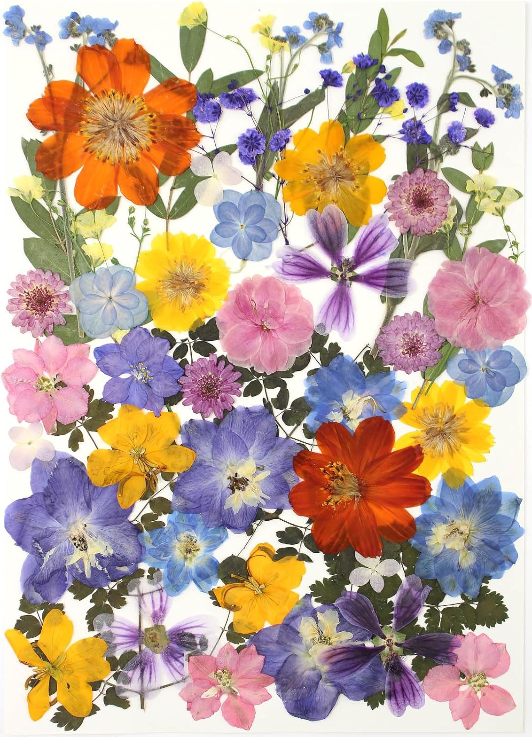 17 Types Retro Dried Pressed Flowers Leaf Plant Herbarium for DIY Resin Jewelry Making Floral Decors(Muti Color)