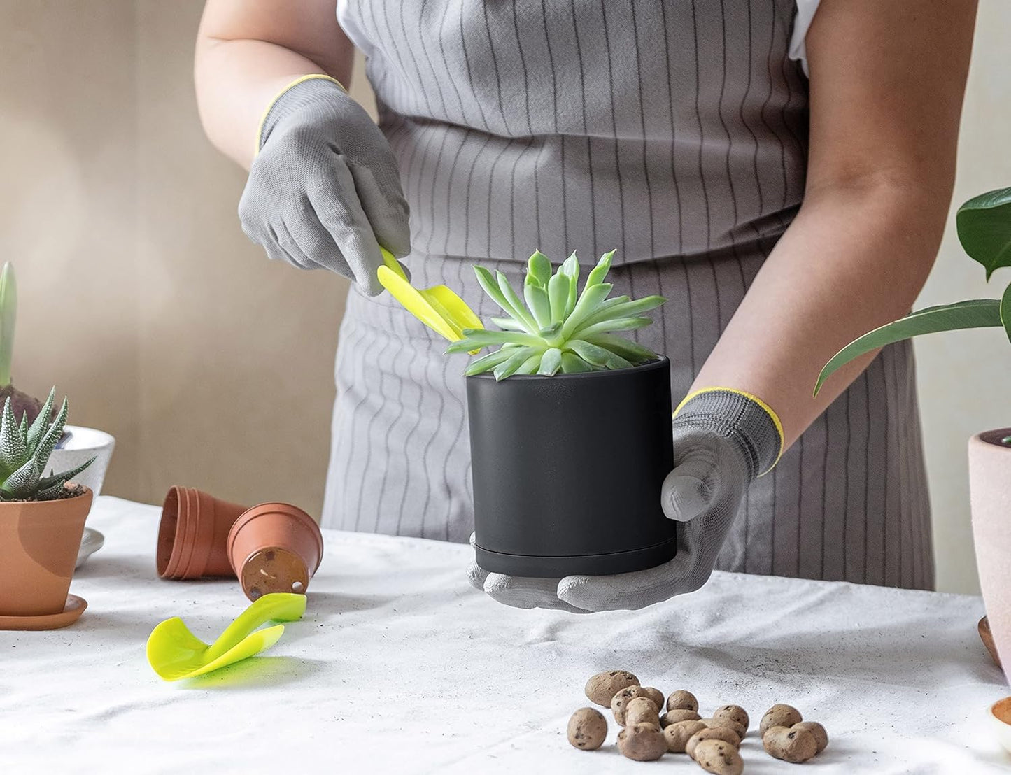 D'vine Dev 6 Pack 4 Inch Modern Plastic Plant Pots, Small Garden Planters for Plant with Drainage Holes and Saucers, Black Color, 74-Y-E-3