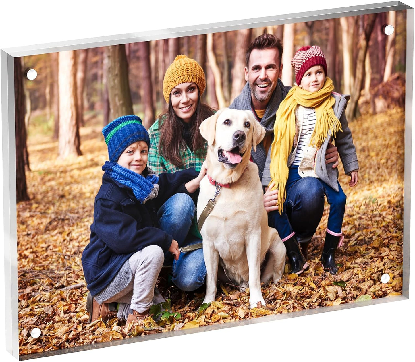 5x7 Acrylic Picture Frame 1 Pack, Clear Freestanding Double Sided Frameless Magnetic Photo Frames, Desktop Display Decor Gift