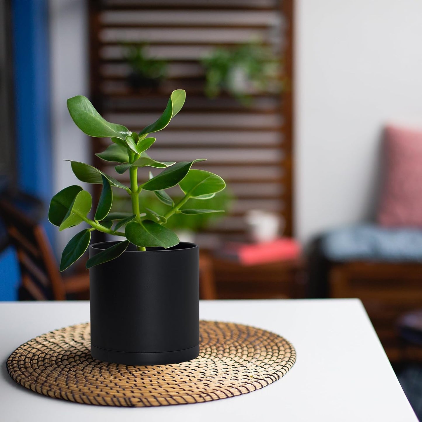 D'vine Dev 2 Pack 5 Inch Modern Plastic Plant Pots, Small Garden Planters for Plant with Drainage Holes and Saucers, Black Color, 74-Y-G-1