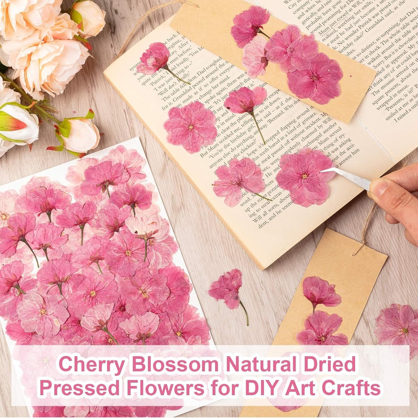 101 PCS Pressed Cherry Blossom for Crafts, Pink Dried Pressed Flowers for Resin DIY Jewelry Making Cake Card Scrapbook Decor, Dried Sakura Flowers for Soap Candle Making