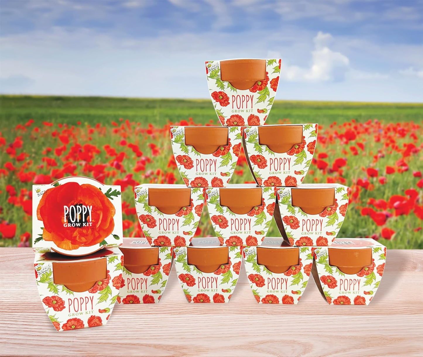 BUZZY Seeds 12-Pack Poppy Grow Kit – Mini Terracotta Pots with Poppy Seeds and Growing Medium – Bulk Gardening Gifts, Wedding Favors, Classroom Activities, and Party Favor Flower Kits