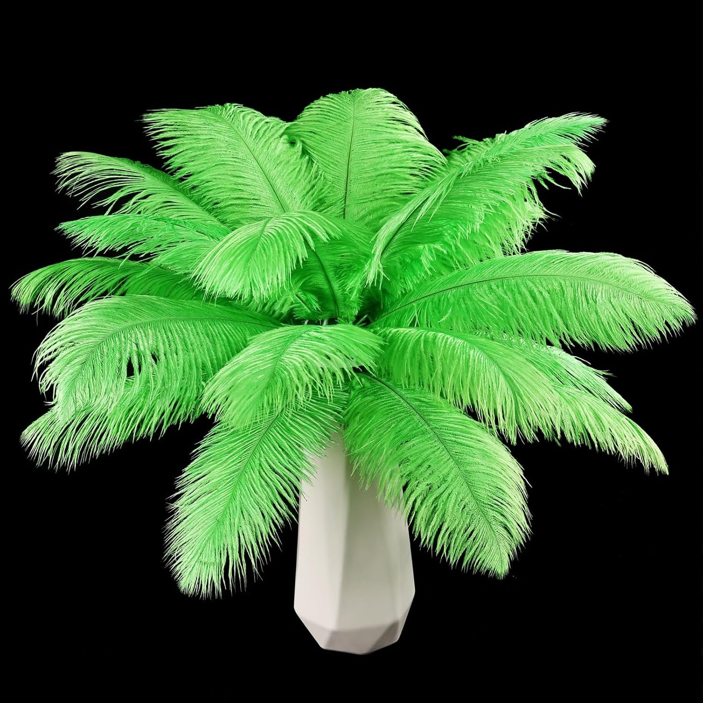 THARAHT Green Ostrich Feathers 24pcs Natural Bulk 8-10Inch 20cm-25cm for Crafts Wedding Party Centerpieces Mardi Gras and Home Decoration Feathers