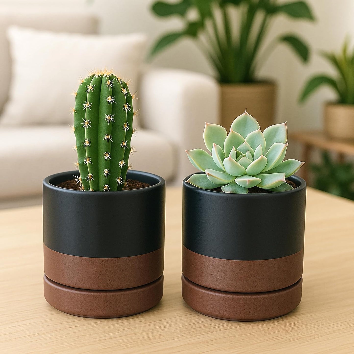D'vine Dev Set of 4 Small Ceramic Plant Pots, 4.7 Inch Succulent Planter Pot for Plants with Drainage Hole and Saucer, Black/Speckled Tan, 94-X-B-7