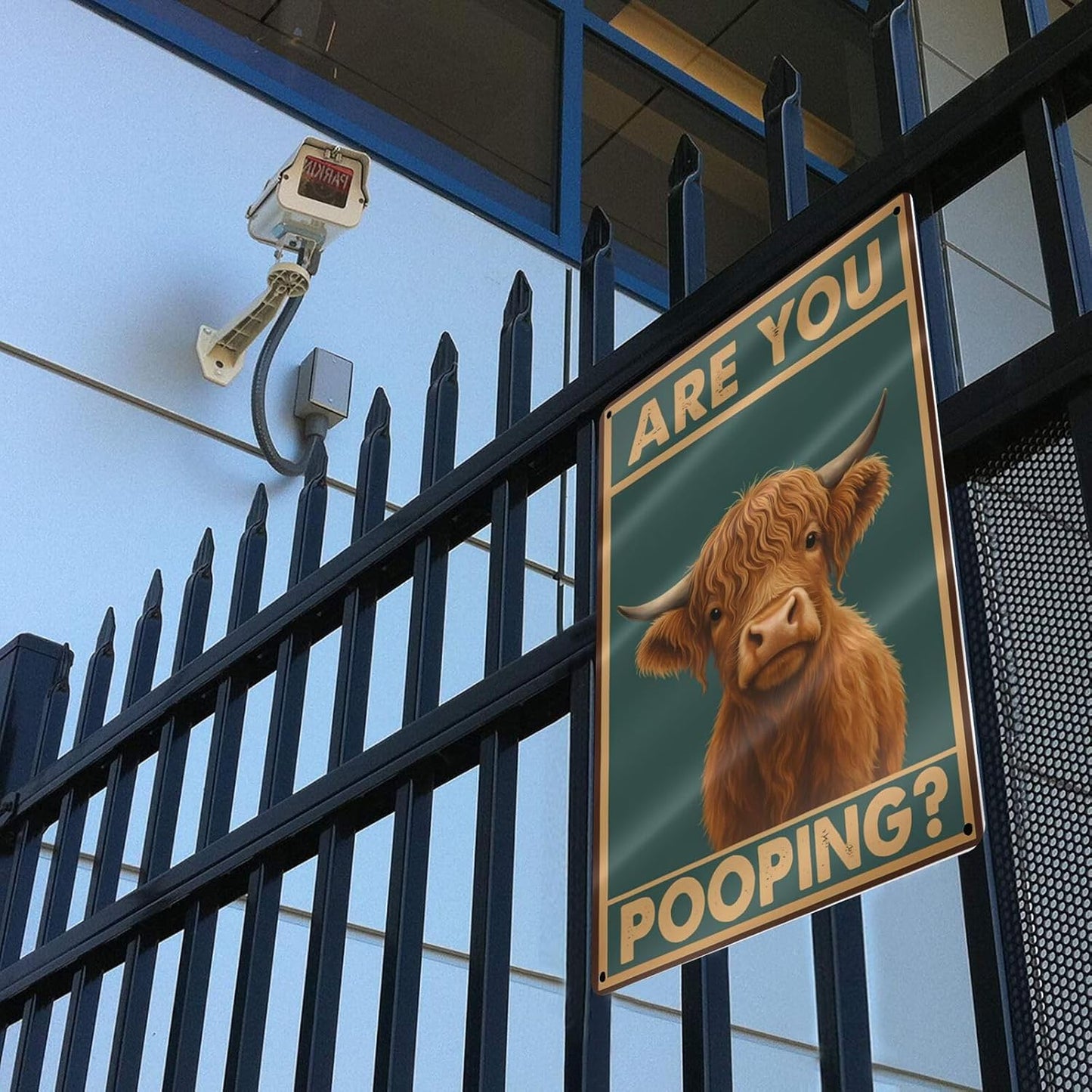 Funny Highland Cow Bathroom Sign - "Are You Pooping?" Vintage Western Tin Wall Decor for Restroom, Toilet or Farmhouse - 8" x 12" Metal Sign