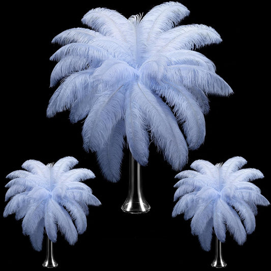 Maitys 90 Pcs Large Natural Ostrich Feathers Bulk 14-16 Inch (35-40cm) 12-14 Inch (30-35cm) 10-12 Inch (25-30cm) Ostrich Feathers Plumes for Centerpieces Wedding(Light Blue)