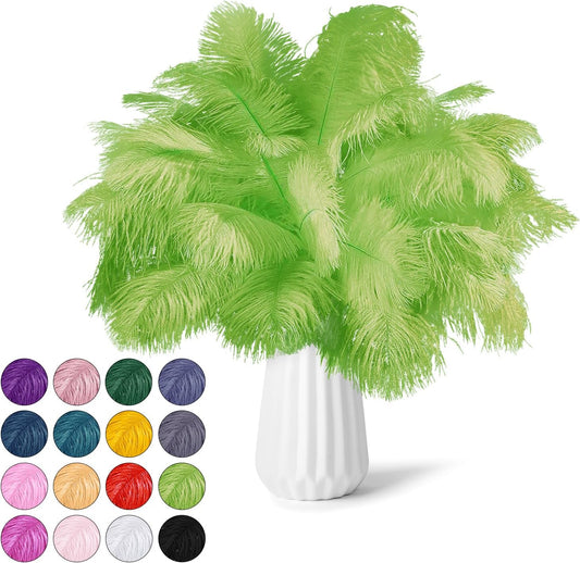 NEWONG 30pcs Fruit Green Ostrich Feathers Natural Bulk 9-12inch(23-30cm) Vase Craft Wedding Home Party Centerpieces Christmas Day Decoration