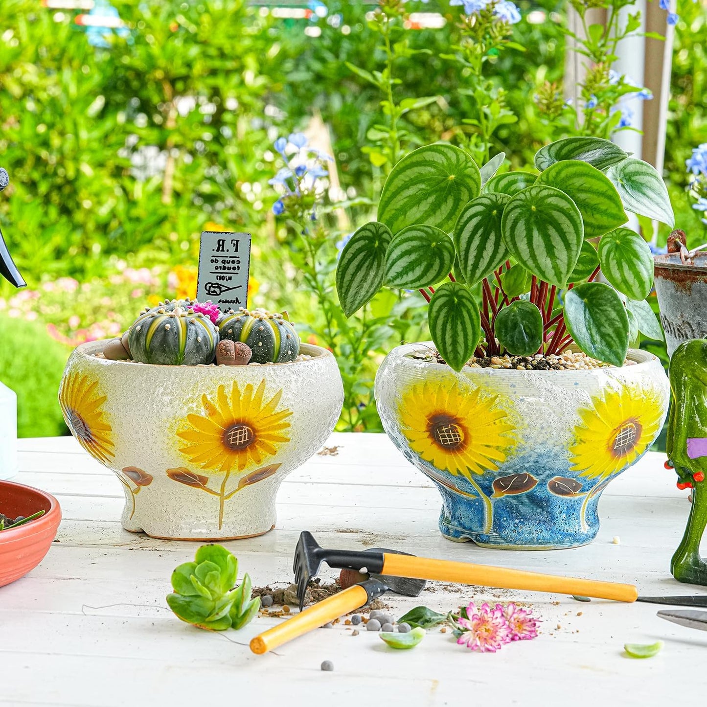 Sungmor Small Succulent Planters Set of 2, Beautiful Hand Crafted Ceramic Plant Pots Cute Cactus Pot, 6.5 Inch Flower Pots for Indoor Plants with Drainage, Desktop Windowsill Home Office Decor Pots