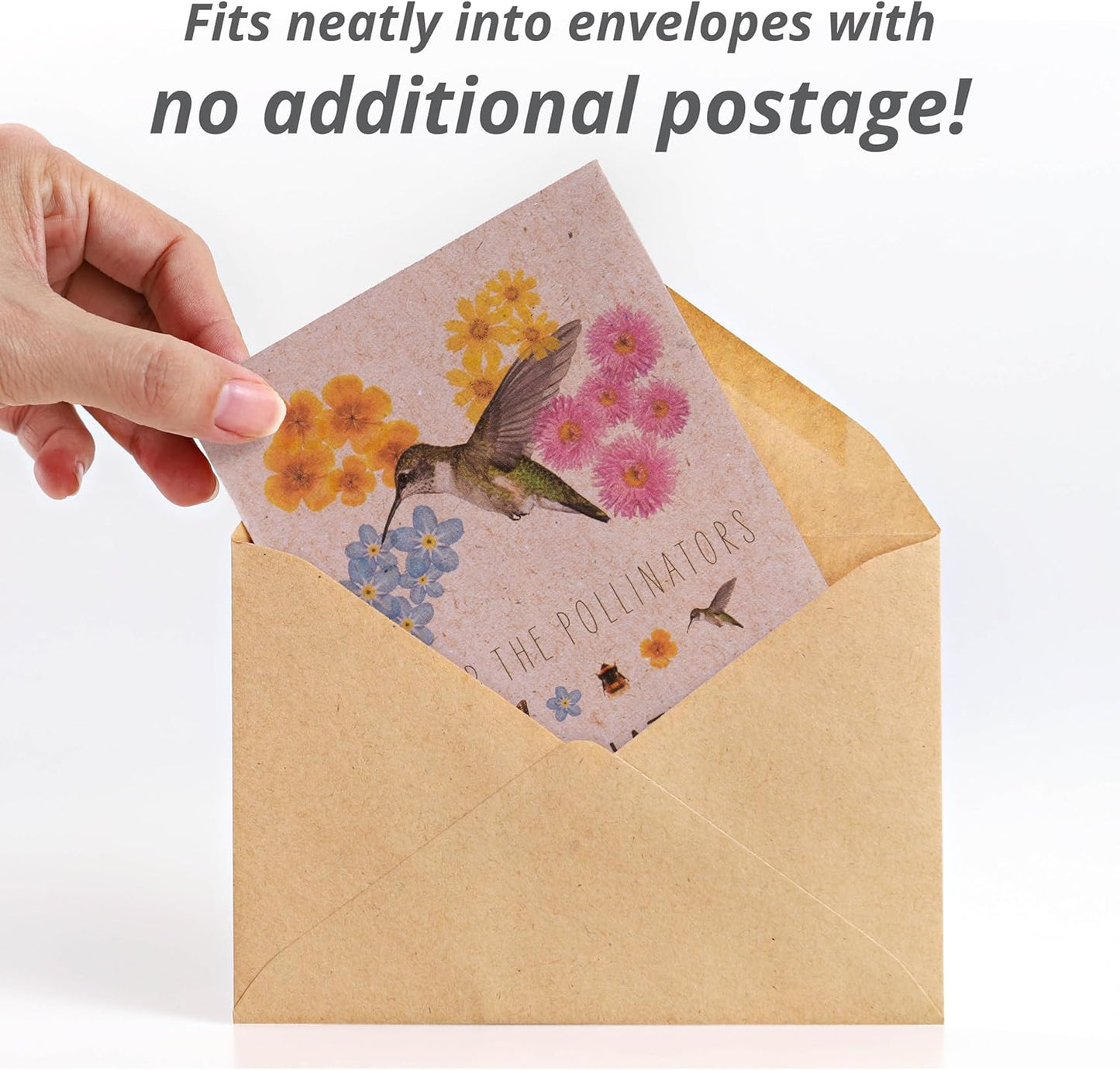 Bentley Wildflower Mix, Pre Filled Hummingbird Packets, 25 Annual Flower Packs, Perfect Eco-Friendly Gift for DIY Gardeners or New Homeowners, Non GMO Seeds