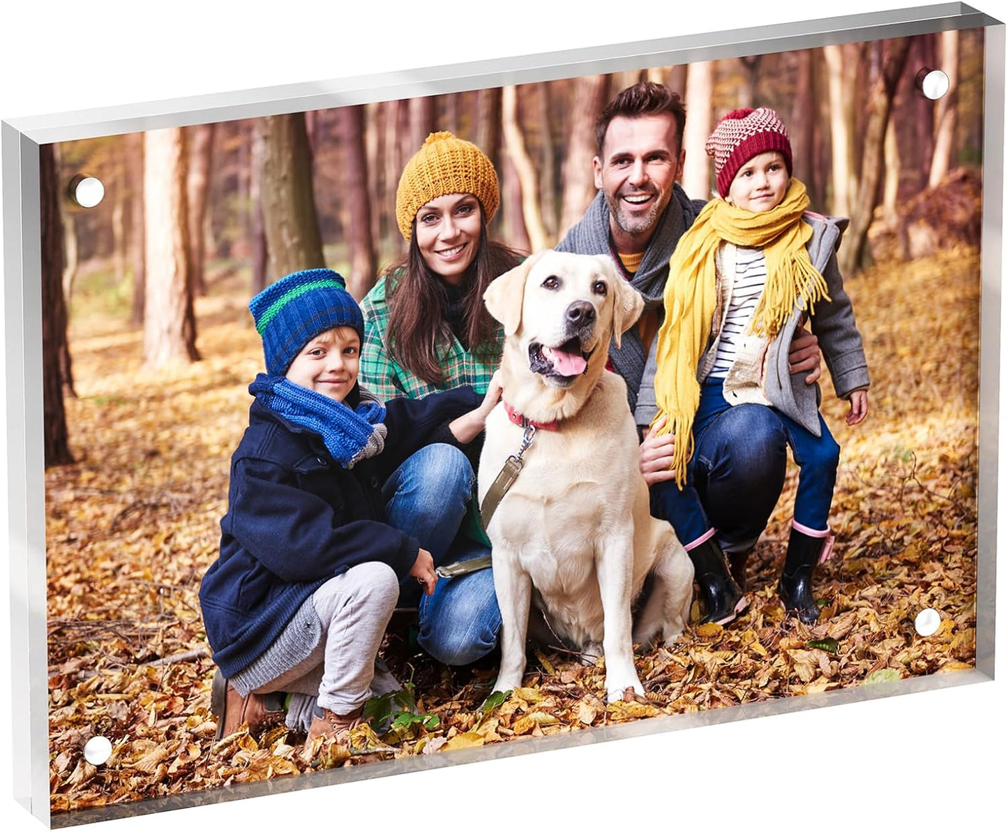 4x6 Acrylic Picture Frame 1 Pack, Clear Freestanding Double Sided Frameless Magnetic Photo Frames, Desktop Display Decor Gift