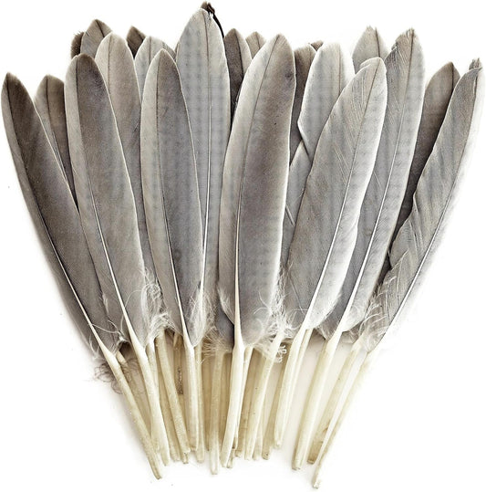 FeelfunFeather 120pcs Natural Gray Goose Cochettes Feathers Bulk 4-6 inches 10-15cm for Wedding Party Christmas Halloween Decorations DIY Crafts