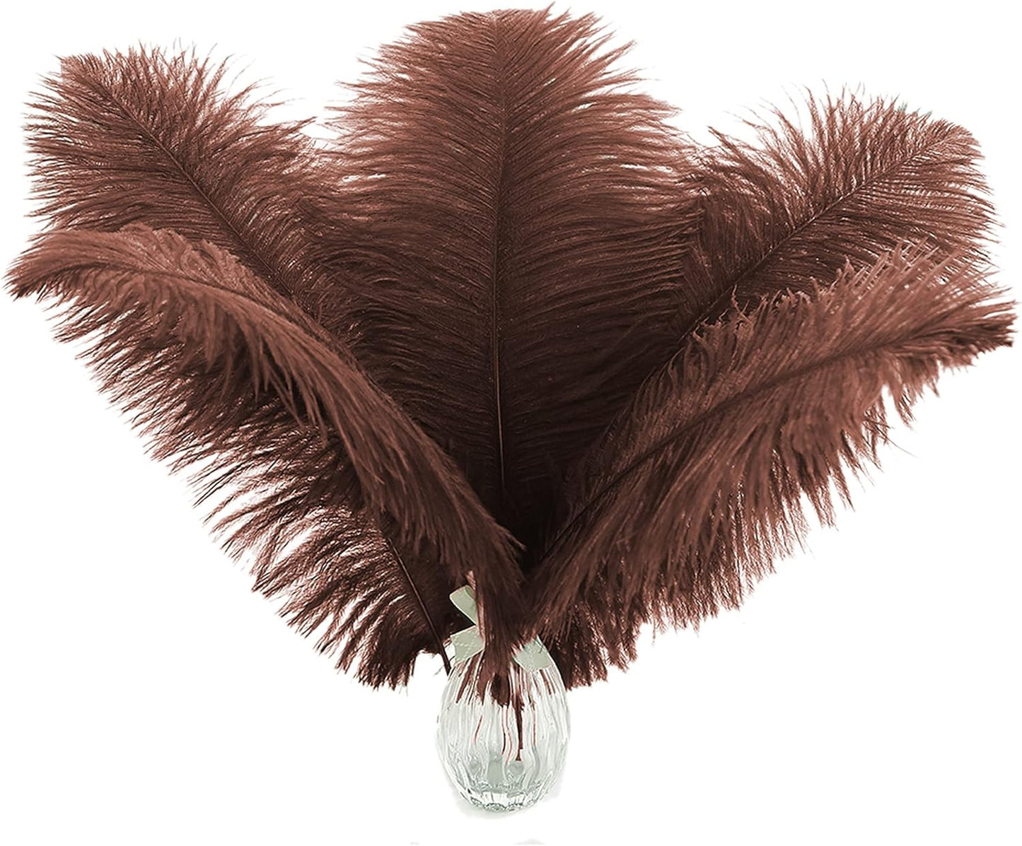 Ballinger Brown Ostrich Feathers Bulk - 24pcs 10-12inch Boho Feathers for vase，Wedding Party Centerpieces and Home Decor
