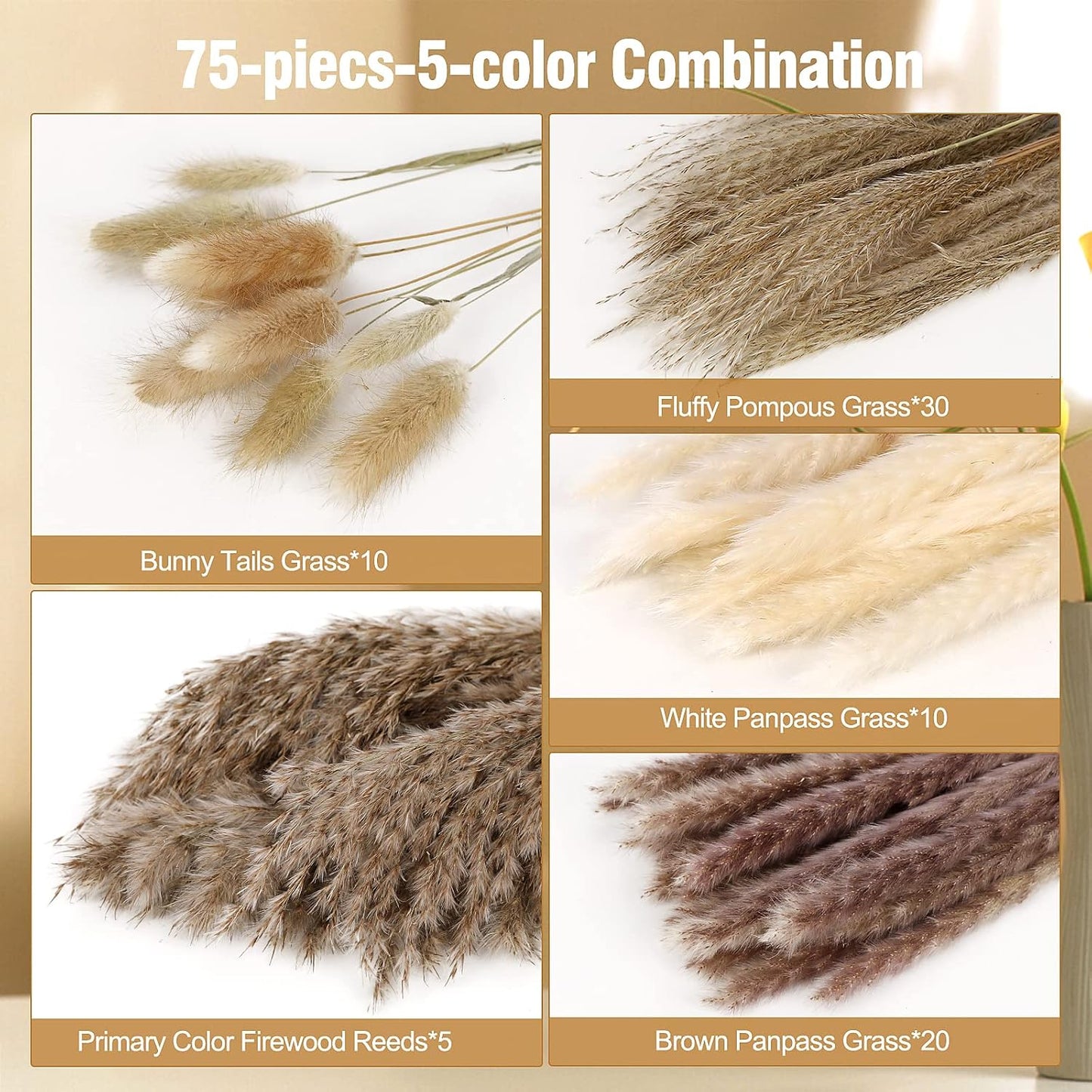 N&T NETING 75Pcs Pampas Grass Decor-10Pcs White Pampas Grass, 20Pcs Brown Pampas, 10Pcs Bunny Tail, 30Pcs Reed, 5Pcs Fluffy Dried Pompas Grass Flower for Fall Home Wedding Table Vase Boho Decor