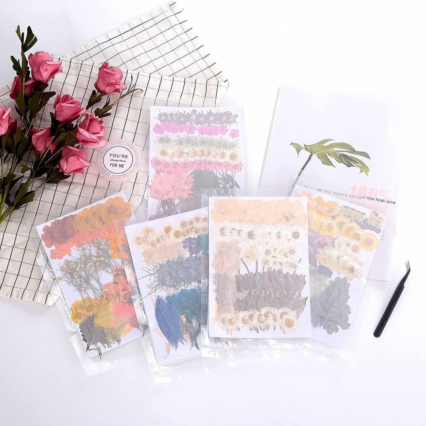 48PCS White Large Real Dried Pressed Flowers Leaves Natural Plant Herbarium for DIY Resin Mold Jewelry Making Craft (12 Styles)